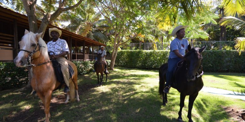 dominican horse men